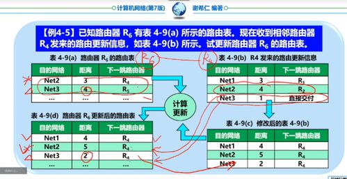 计算机网络